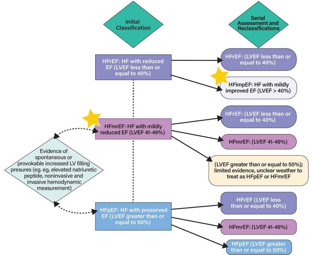 diagram chart of heart failure pharmacotherapy recommendations + expanded role for SGLT2i