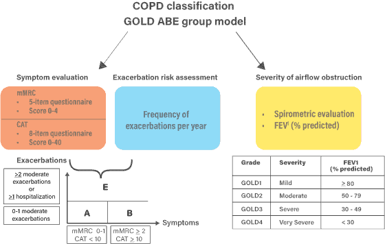 Dyk 2023 Summary Of Gold Report For Copd Healthdirect